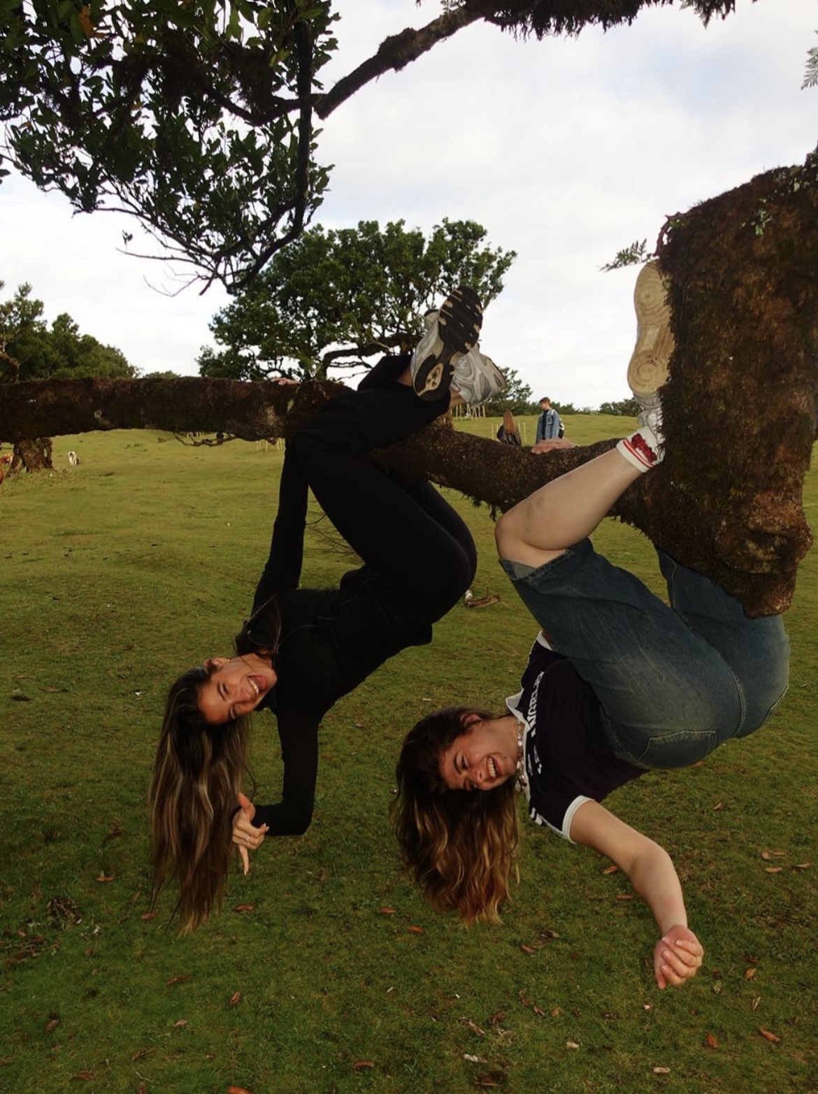 Amigos en el bosque de Fanal, Madeira